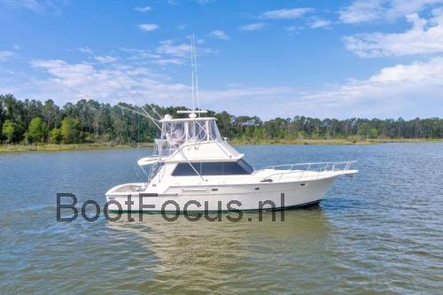 Bertram 42 specificaties 